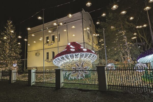 Klinikos savininkai kurdami grožį miestui jaučiasi ypatingai