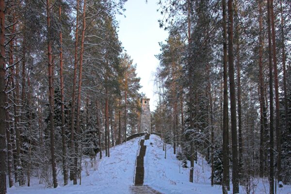 Pritrūkote idėjų žiemos savaitgaliams? Anykščiai siūlo 10 skirtingų veiklų