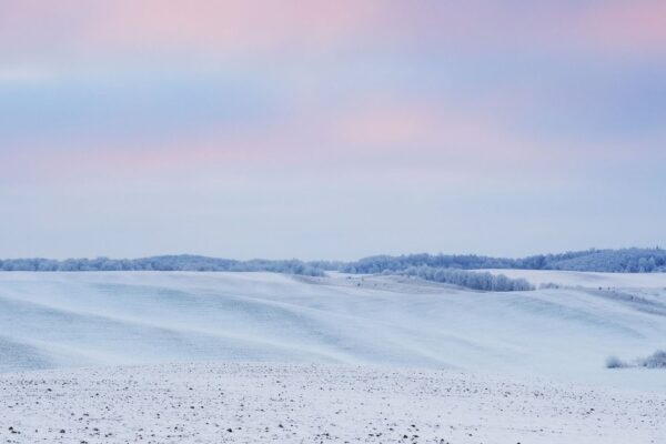 Lėšos už valstybinės žemės pardavimą ir valstybės saugumui stiprinti