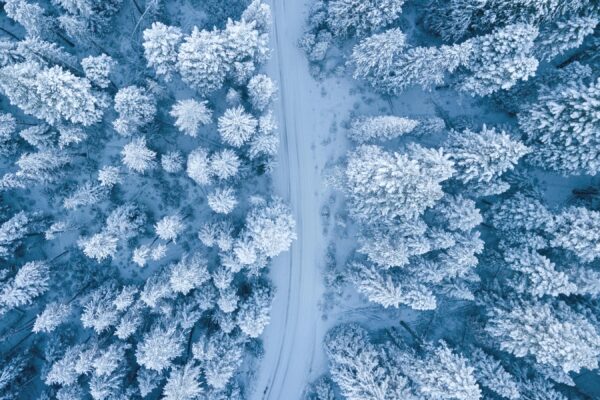 Kaip nuo šalčio apsaugoti telefonus?