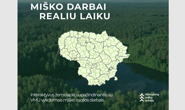 Miško ruošos darbai – viešai ir aiškiai: VMU pristato interaktyvų kirtimų žemėlapį