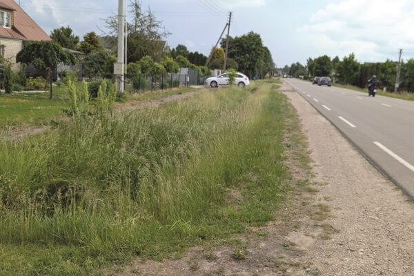 Apžėlusios pakelės lietuviams nepriimtinos