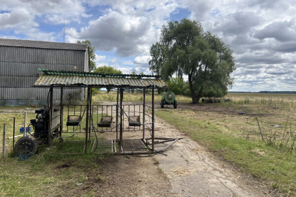 Girtuokliaujančių ūkininkų gyvuliai sukėlė chaosą kaimuose